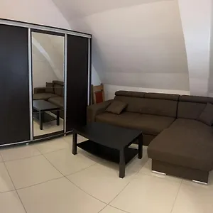 Апартаменты Chez Ana Отопени